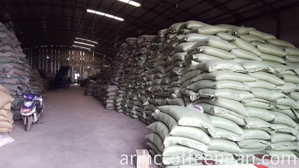 حبوب البن الخضراء الصينية الخام ، نوع أرابيكا 100٪ ، مصنع القهوة الصينية